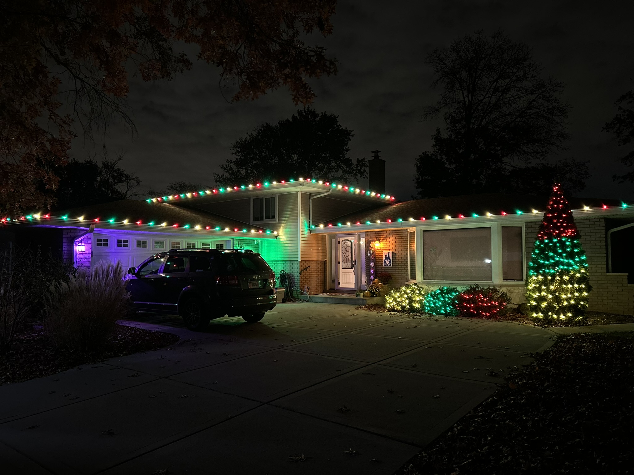 Christmas lighting professional install